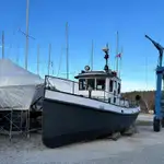 ટોવબોટ વેચાણ માટે