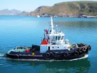 બલ્ક કેરિયર વેચાણ માટે