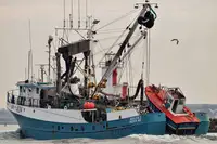 સીનર વેચાણ માટે