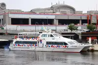 મોટર જહાજ વેચાણ માટે
