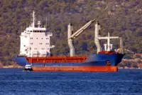 બલ્ક કેરિયર વેચાણ માટે