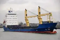 બલ્ક કેરિયર વેચાણ માટે