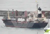 બલ્ક કેરિયર વેચાણ માટે