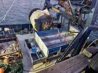 ભંગાર ધાતુ વેચાણ માટે