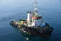 ટોવબોટ વેચાણ માટે