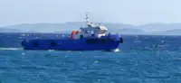 ટોવબોટ વેચાણ માટે