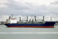 બલ્ક કેરિયર વેચાણ માટે