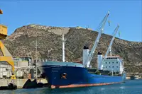 બલ્ક કેરિયર વેચાણ માટે