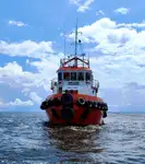 ટોવબોટ વેચાણ માટે