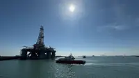 કેટામરન વેચાણ માટે