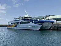 કેટામરન વેચાણ માટે