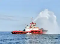 ટોવબોટ વેચાણ માટે