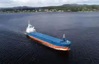 બલ્ક કેરિયર વેચાણ માટે