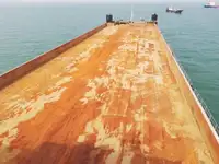 બલ્ક કેરિયર વેચાણ માટે