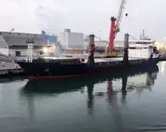 બલ્ક કેરિયર વેચાણ માટે