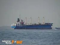 બલ્ક કેરિયર વેચાણ માટે