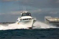 કામ બોટ વેચાણ માટે