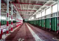 રોરો જહાજ વેચાણ માટે