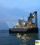 બલ્ક કેરિયર વેચાણ માટે